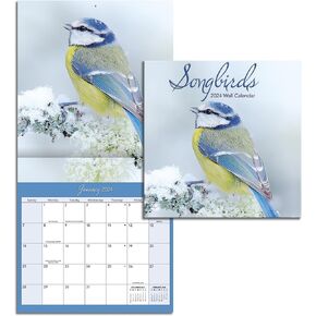 TURNER PHOTOGRAPHIC Songbirds Photo Mini Wall Calendar (25998950032)