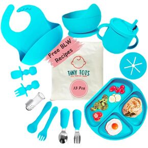 TinyTots SIlicone baby feeding set Suction Bowl Divided Plate Bib Cup Self Feeding Spoons - First Stage Solid Food Eating Utensils - 6