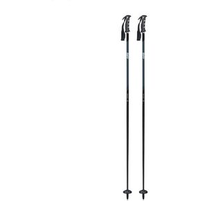 Swixalpine-ski-Poles