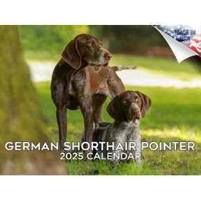 2024 2025 Afghan Hound Calendar - Dog Breed Monthly Wall Calendar - 12 x 24 Open - Thick No-Bleed Paper - Giftable - Academic Teacher's Planner Calendar Organizing & Planning - Made in USA
