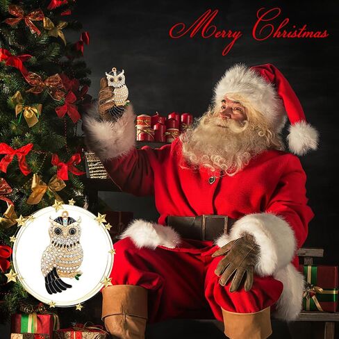 FLYAB Metal Owl Christmas Ornaments 2024 Owl Ornaments for Christmas Tree Owl Decor Christmas Ornaments Gifts for Women Girls Mom Sisters Owl Lovers in Saudi Arabia