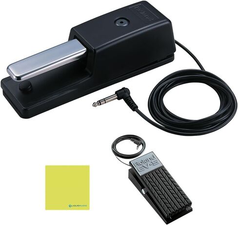 Roland DP-10 Non-slip Damper Pedal Bundle w/Boss EV-5 Expression Pedal and Liquid Audio Polishing Cloth in Saudi Arabia