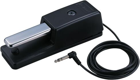 Roland DP-10 Non-slip Damper Pedal Bundle w/Boss EV-5 Expression Pedal and Liquid Audio Polishing Cloth in Saudi Arabia