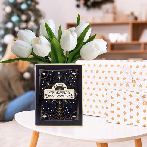 مزهرية كتاب E BoomWL، مزهرية كتاب حديثة للزهور، مزهرية صغيرة على شكل كتاب، مزهرية زهرة سيراميك كتاب ديكور منزلي فريد - كتيب الملاحظات السماوية in Kuwait