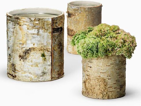 Serene Spaces Living Large White Birch Bark Vase with Glass Interior, Decorative Centerpiece, Rustic Accent Piece, Ideal for Natural Wedding Tablescape, Vintage Home Decor, 4.5" Diameter & 6.5" Tall in Kuwait