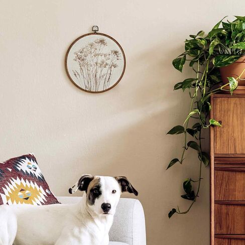 TLESKE Beige Rustic Fall Botanical Round Wall Art Decor, Boho Autumn Wildflower Floral Framed Canvas Prints Wall Art Artwork, Neutral Vintage Wall Hanging Door Decor Decorations for Farmhouse Bedroom Living Room 10x10in in Kuwait