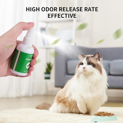 Catnip Spray for Indoor Cats, 2.1fl oz/60ml in Saudi Arabia