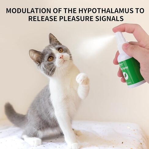 Catnip Spray for Indoor Cats, 2.1fl oz/60ml in Saudi Arabia