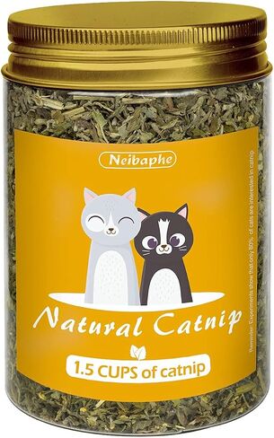 Catnip Spray for Indoor Cats, 2.1fl oz/60ml in Saudi Arabia