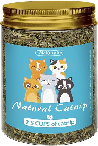 Catnip Spray for Indoor Cats, 2.1fl oz/60ml in Saudi Arabia