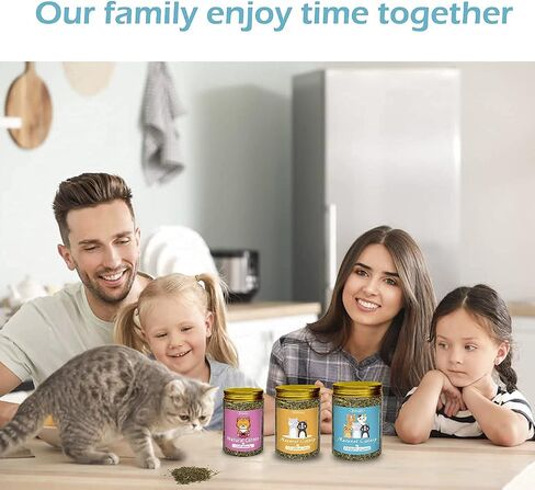 Catnip Spray for Indoor Cats, 2.1fl oz/60ml in Saudi Arabia