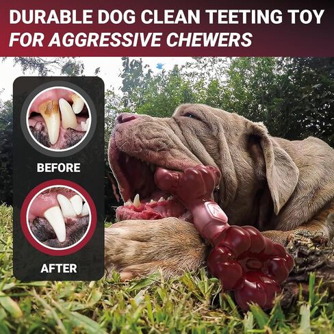 Indestructible Dog Chew Toy for Aggressive Chewers, Extreme Tough Nylon Dog Chew Toys for Large Dogs, Durable Dog Bone Toy for Medium/Large Breeds, Teething & Keep Dog Busy in Saudi Arabia