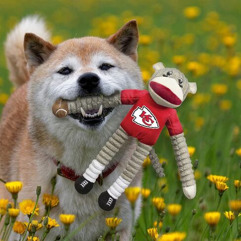 Littlearth Unisex-Adult NFL Las Vegas Raiders Sock Monkey and Flying Disc Pet Toy Combo Set, Team Color, One Size in Saudi Arabia