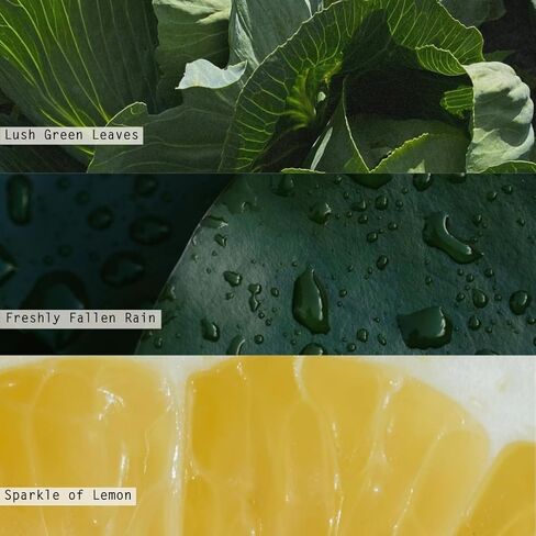 Beautifully Done Essentials Fresh Sea Salt Scented Candle Refill in Kuwait