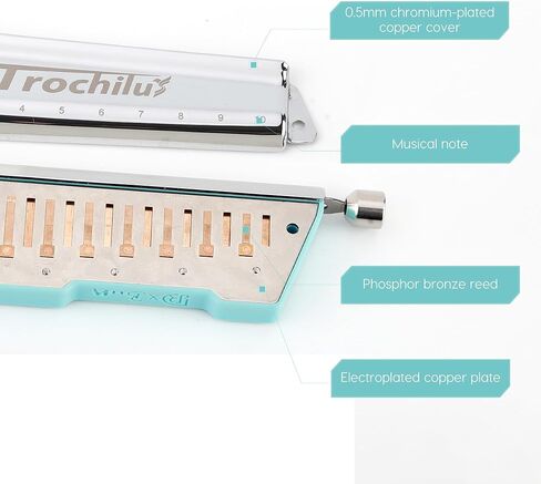 JDR Trochilus 10 Holes Chromatic Harmonica Key of Bb Armonica Chromonica Valveless Harp with Case for Adults Professionals Beginners Kids Teachers and Students Gift (Blues/Ritcher Tuning Key of Bb) in Saudi Arabia