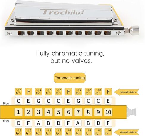 JDR Trochilus 10 Holes Chromatic Harmonica Key of Bb Armonica Chromonica Valveless Harp with Case for Adults Professionals Beginners Kids Teachers and Students Gift (Blues/Ritcher Tuning Key of Bb) in Saudi Arabia