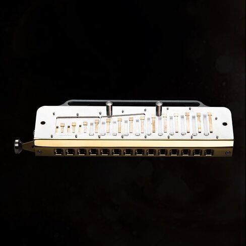 EAST TOP ROMANCE Chromatic Harmonica of 14 Hole, Professional Chromatic Mouth Organ Harmonica For Adults, Students and band players key of C in Saudi Arabia
