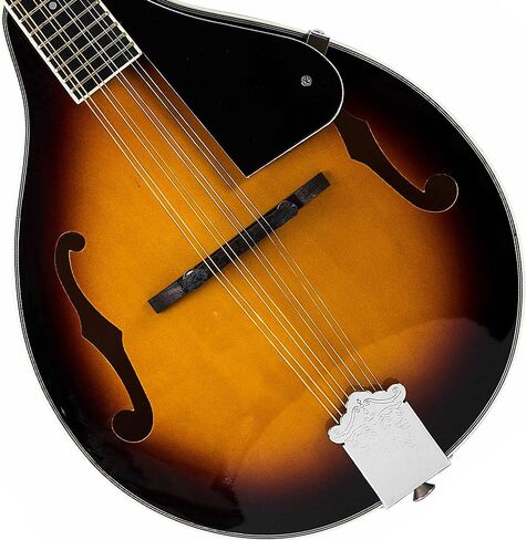 A Style Mandolin, 8 String Acoustic Mahogany Mandolin Musical Instrument (MGMI-S) in Saudi Arabia