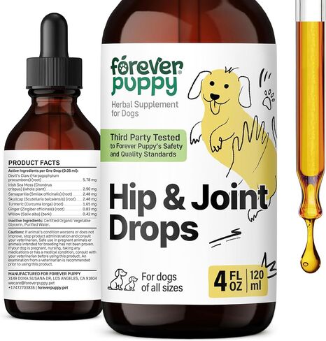 Hip and Joint Drops for Dogs - Joint Supplement w/Turmeric Curcumin - Liquid Alternative to Hip and Joint Chews for Dogs - Dog Vitamins and Supplements for Hip and Joint Health - 2 oz in Kuwait