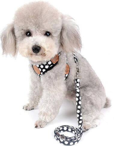 SELMAI Small Dog Harness Vest Leash Set Polka Dot/Camo Mesh Padded No Pull Leads for Puppy Pet Cat (Small (Pack of 1), Red) in Saudi Arabia