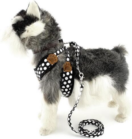 SELMAI Small Dog Harness Vest Leash Set Polka Dot/Camo Mesh Padded No Pull Leads for Puppy Pet Cat (Small (Pack of 1), Red) in Saudi Arabia