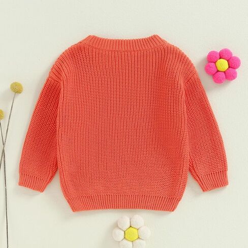 Toddler Baby Girl Boy Long Sleeve Knit Sweater Brothers Sisters Letter Embroidery Round Neck Pullover Fall Winter Tops in Saudi Arabia
