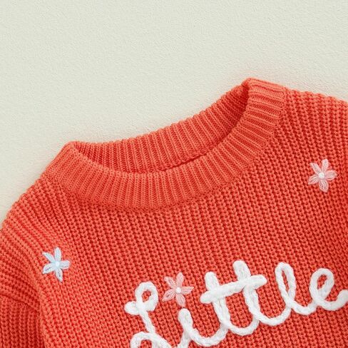 Toddler Baby Girl Boy Long Sleeve Knit Sweater Brothers Sisters Letter Embroidery Round Neck Pullover Fall Winter Tops in Saudi Arabia