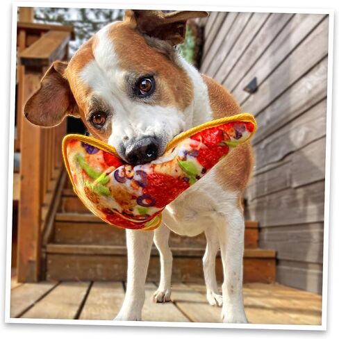 Doggijuana | Tuffer Chewer Refillable Tomahawk Steak Toy in Saudi Arabia