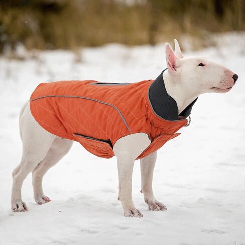 Cold Winter Dog Pet Coat Jacket Vest Warm Outfit Clothes for Small Medium Large Dogs XS Orange CW-181117-C338-Orange-XS in Kuwait