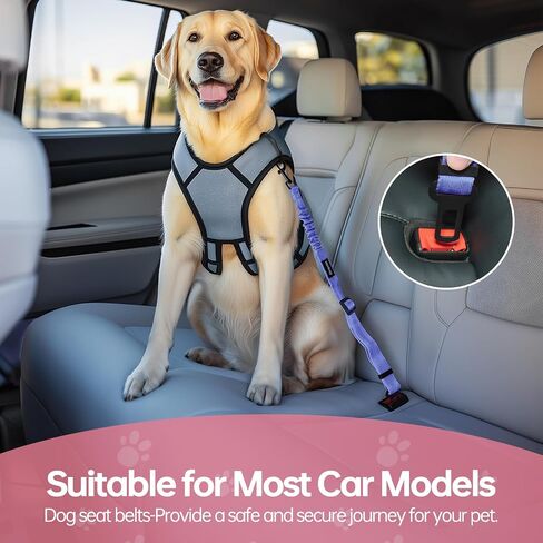 Thickened Dog Seat Belt for Car, 3 Pack Set Retractable Dog Car Leash Adjustable Dog Seat Belt for Vehicle Nylon Pet Safety Seat Belts Heavy Duty & Elastic,Seat Belt for Large Dogs in Car, Black in Saudi Arabia