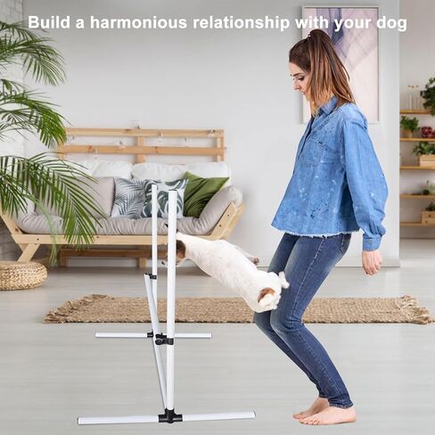 معدات تدريب القفز على خفة الحركة للكلاب: دورة قفزات رشاقة الكلاب مع قضبان قفز بارتفاع قابل للتعديل متضمنة حقيبة حمل - مجموعة تدريب على قفز الكلاب في الداخل والخارج (أصفر) in Kuwait