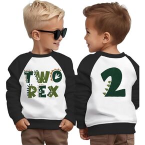Birthday Shirts for Toddler Boy T-Rex Dinosaur Outfit Dino Party Baby Pullover Long Sleeve Fall Tees Clothes 2-5T