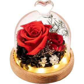 TGELATA Preserved Flowers Roses, Fresh Flowers Real Floral Gift for Women, Flowers for Delivery Prime for Christmas/Valentine's Day/Mothers Day, Forever Rose Birthday Gifts for Mom, 2 Pink Roses