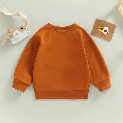 Toddler Baby Boy Girl Clothes Solid Color Crewneck Sweatshirt Long Sleeve Pullover T Shirt Tops Fall Winter Outfit in Saudi Arabia