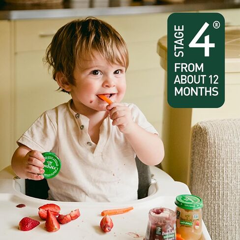 Beech-Nut Toddler Snacks Oaty Bars Granola Bars for Babies & Toddlers, Fruit & Whole Grain Strawberry Snack Bar, Gluten Free Toddler Snack, 6 Boxes (30 Individually Wrapped Bars) in Kuwait