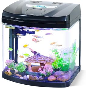 Glass Aquarium Starter Kit with Flip-Top Feeding Port for Betta Fish: Crystal Clear Viewing, Eco-Cycle Filtration, Air Pump, and LED Lighting (10 Gallon)