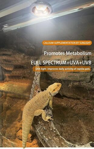 LED UVB Light for Reptiles, 12W UVB 10.0 LED UVB Bulb for Reptile, High Output Full Spectrum Sunlamp UVA UVB Reptile Light for Bearded Dragon, Gecko, Lizard, Snake, Turtle in Saudi Arabia