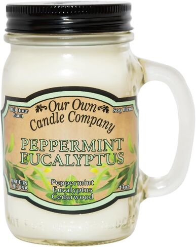 Our Own Candle Company Smoke Eliminator Scented 13 Ounce Mason Jar Candle in Kuwait