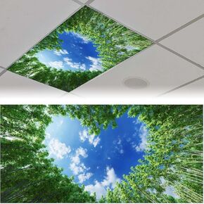 Fluorescent Light Cover for Classroom - 2 Pcs Special Clouds Magnetic Fluorescent Light Covers for Office Classroom Home Drop Ceiling, 4 X 2 Feet