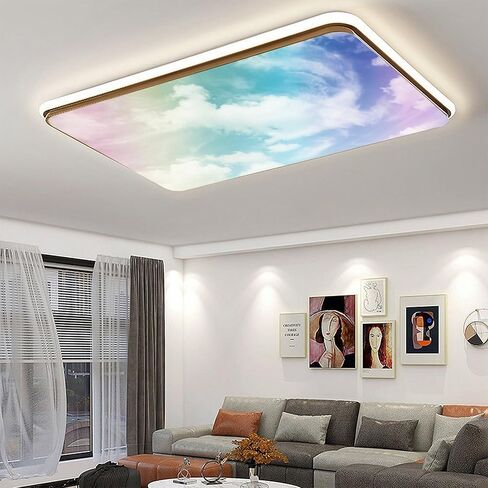 Fluorescent Light Cover for Classroom - 2 Pcs Special Clouds Magnetic Fluorescent Light Covers for Office Classroom Home Drop Ceiling, 4 X 2 Feet in Saudi Arabia