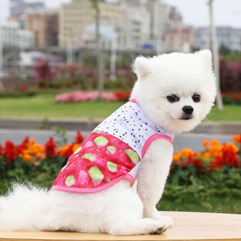 Dog Sweaters Dog Pumpkin Sweatshirt Cute Fleece Shirts Puppy Clothes Cat Warm Soft Outfits for Small Dogs vszga Orange Medium in Saudi Arabia