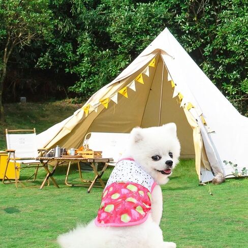 Dog Sweaters Dog Pumpkin Sweatshirt Cute Fleece Shirts Puppy Clothes Cat Warm Soft Outfits for Small Dogs vszga Orange Medium in Saudi Arabia