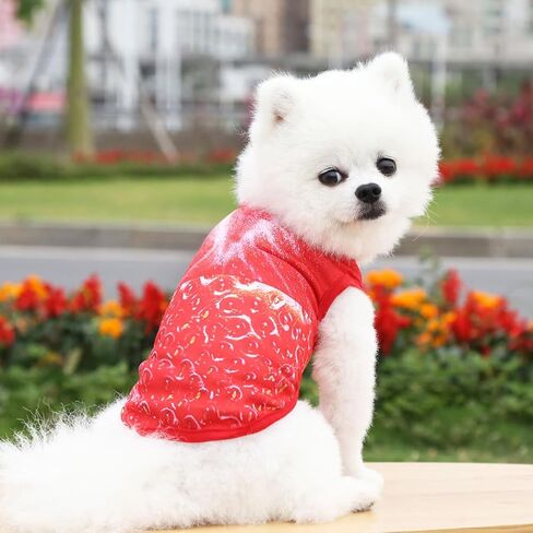 Dog Sweaters Dog Pumpkin Sweatshirt Cute Fleece Shirts Puppy Clothes Cat Warm Soft Outfits for Small Dogs vszga Orange Medium in Saudi Arabia