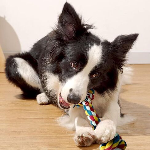 2P Interactive Dog Toys Dog Puzzle Toy Interactive Dog Toys for Boredom(RED and Blue) in Saudi Arabia