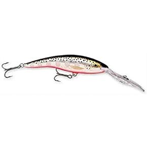 Rapala Deep Tail Dancer 09 Fishing lure, 3.5-Inch, Silver Flash