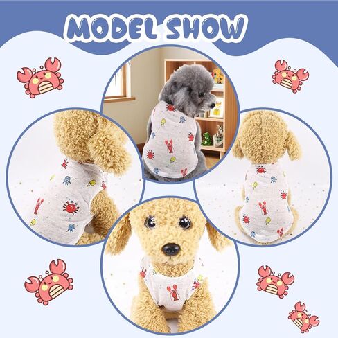 Dog Halloween Costume Cat Sweater Funny Pet Clothes Doggy Fitwarm Sweatshirts Puppy Outfits Spider Costume for Dogs Black02 X-Large in Kuwait