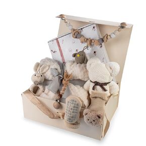 Unisex Baby Gift Set for Newborn Knitted Bunny Rattle Baby Socks with Bears Handprint & Footprint Photo Frame Blanket Carriage Pendant Nipple Chain and Towel Bear in Gift Box with Bow