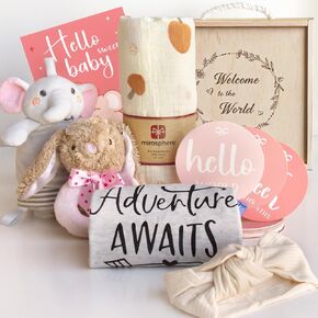 Baby Shower Gifts for Girls - New Born Baby Girls Gift Basket - Baby Gifts for Newborn Girl Essentials Stuff - Gender Reveal Ideas Welcome Baby Girl