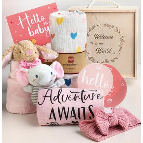 Baby Shower Gifts for Girls - New Born Baby Girls Gift Basket - Baby Gifts for Newborn Girl Essentials Stuff - Gender Reveal Ideas Welcome Baby Girl