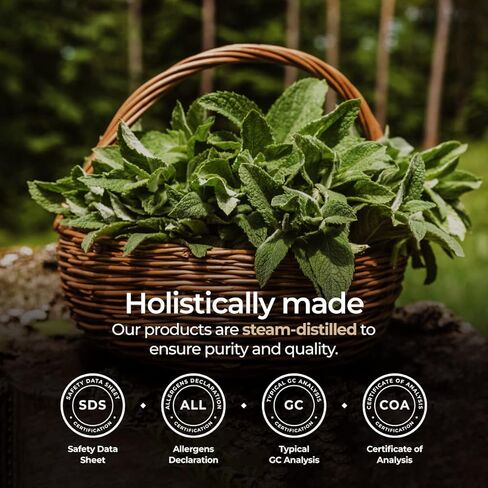 رول زيت الجريب فروت العطري من Gya Labs - رائحة حلوة وحمضية (0.34 أونصة سائلة) in Kuwait